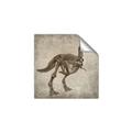 Picture of Dino Skeleton II _GroupedProduct_Square_Mini_ _GroupedProduct_Square_Unframed_Print_Only_