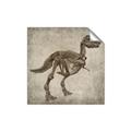 Picture of Dino Skeleton II _GroupedProduct_Square_Mini_ _GroupedProduct_Square_Unframed_Print_Only_