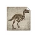 Picture of Dino Skeleton II _GroupedProduct_Square_Mini_ _GroupedProduct_Square_Unframed_Print_Only_
