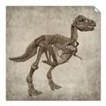 Picture of Dino Skeleton II _GroupedProduct_Square_Mini_ _GroupedProduct_Square_Unframed_Print_Only_