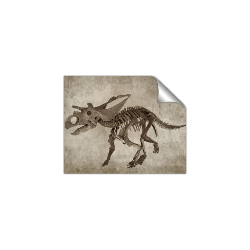 Picture of Dino Skeleton III _GroupedProduct_Rectangle_Landscape_Mini_ _GroupedProduct_Rectangle_Landscape_Unframed_Print_Only_