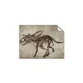 Picture of Dino Skeleton III _GroupedProduct_Rectangle_Landscape_Mini_ _GroupedProduct_Rectangle_Landscape_Unframed_Print_Only_