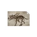 Picture of Dino Skeleton III _GroupedProduct_Rectangle_Landscape_Mini_ _GroupedProduct_Rectangle_Landscape_Unframed_Print_Only_