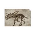 Picture of Dino Skeleton III _GroupedProduct_Rectangle_Landscape_Mini_ _GroupedProduct_Rectangle_Landscape_Unframed_Print_Only_