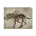 Picture of Dino Skeleton III _GroupedProduct_Rectangle_Landscape_Mini_ _GroupedProduct_Rectangle_Landscape_Unframed_Print_Only_