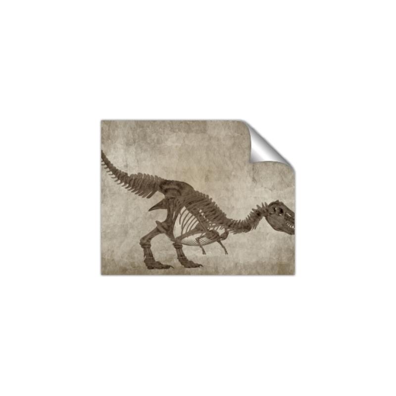 Picture of Dino Skeleton IV _GroupedProduct_Rectangle_Landscape_Mini_ _GroupedProduct_Rectangle_Landscape_Unframed_Print_Only_