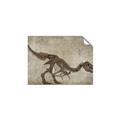 Picture of Dino Skeleton IV _GroupedProduct_Rectangle_Landscape_Mini_ _GroupedProduct_Rectangle_Landscape_Unframed_Print_Only_