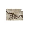 Picture of Dino Skeleton IV _GroupedProduct_Rectangle_Landscape_Mini_ _GroupedProduct_Rectangle_Landscape_Unframed_Print_Only_