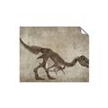 Picture of Dino Skeleton IV _GroupedProduct_Rectangle_Landscape_Mini_ _GroupedProduct_Rectangle_Landscape_Unframed_Print_Only_