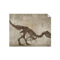 Picture of Dino Skeleton IV _GroupedProduct_Rectangle_Landscape_Mini_ _GroupedProduct_Rectangle_Landscape_Unframed_Print_Only_