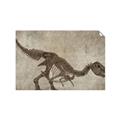 Picture of Dino Skeleton IV _GroupedProduct_Rectangle_Landscape_Mini_ _GroupedProduct_Rectangle_Landscape_Unframed_Print_Only_