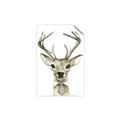 Picture of Baby Deer with Short Tie _GroupedProduct_Rectangle_Portrait_Mini_ _GroupedProduct_Rectangle_Portrait_Unframed_Print_Only_