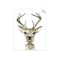 Picture of Baby Deer with Short Tie _GroupedProduct_Rectangle_Portrait_Mini_ _GroupedProduct_Rectangle_Portrait_Unframed_Print_Only_