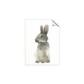 Picture of Brown Bunny _GroupedProduct_Rectangle_Portrait_Mini_ _GroupedProduct_Rectangle_Portrait_Unframed_Print_Only_