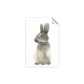 Picture of Brown Bunny _GroupedProduct_Rectangle_Portrait_Mini_ _GroupedProduct_Rectangle_Portrait_Unframed_Print_Only_