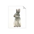 Picture of Brown Bunny _GroupedProduct_Rectangle_Portrait_Mini_ _GroupedProduct_Rectangle_Portrait_Unframed_Print_Only_