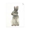 Picture of Brown Bunny _GroupedProduct_Rectangle_Portrait_Mini_ _GroupedProduct_Rectangle_Portrait_Unframed_Print_Only_