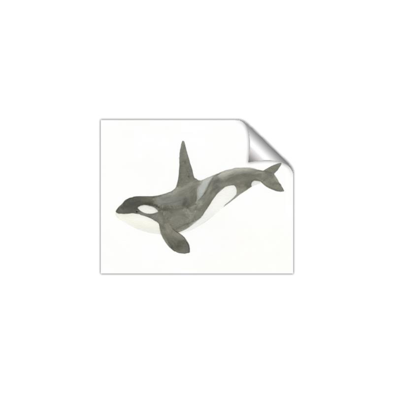 Picture of Orca Whale _GroupedProduct_Rectangle_Landscape_Mini_ _GroupedProduct_Rectangle_Landscape_Unframed_Print_Only_