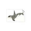 Picture of Orca Whale _GroupedProduct_Rectangle_Landscape_Mini_ _GroupedProduct_Rectangle_Landscape_Unframed_Print_Only_