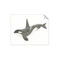 Picture of Orca Whale _GroupedProduct_Rectangle_Landscape_Mini_ _GroupedProduct_Rectangle_Landscape_Unframed_Print_Only_