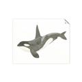 Picture of Orca Whale _GroupedProduct_Rectangle_Landscape_Mini_ _GroupedProduct_Rectangle_Landscape_Unframed_Print_Only_