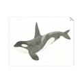 Picture of Orca Whale _GroupedProduct_Rectangle_Landscape_Mini_ _GroupedProduct_Rectangle_Landscape_Unframed_Print_Only_