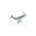 Picture of Blue Whale _GroupedProduct_Rectangle_Landscape_Mini_ _GroupedProduct_Rectangle_Landscape_Unframed_Print_Only_