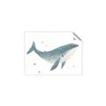 Picture of Blue Whale _GroupedProduct_Rectangle_Landscape_Mini_ _GroupedProduct_Rectangle_Landscape_Unframed_Print_Only_