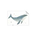 Picture of Blue Whale _GroupedProduct_Rectangle_Landscape_Mini_ _GroupedProduct_Rectangle_Landscape_Unframed_Print_Only_