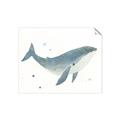Picture of Blue Whale _GroupedProduct_Rectangle_Landscape_Mini_ _GroupedProduct_Rectangle_Landscape_Unframed_Print_Only_
