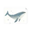 Picture of Blue Whale _GroupedProduct_Rectangle_Landscape_Mini_ _GroupedProduct_Rectangle_Landscape_Unframed_Print_Only_