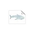 Picture of Blue Whale lll _GroupedProduct_Rectangle_Landscape_Mini_ _GroupedProduct_Rectangle_Landscape_Unframed_Print_Only_