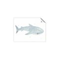 Picture of Blue Whale lll _GroupedProduct_Rectangle_Landscape_Mini_ _GroupedProduct_Rectangle_Landscape_Unframed_Print_Only_
