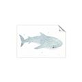 Picture of Blue Whale lll _GroupedProduct_Rectangle_Landscape_Mini_ _GroupedProduct_Rectangle_Landscape_Unframed_Print_Only_