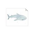 Picture of Blue Whale lll _GroupedProduct_Rectangle_Landscape_Mini_ _GroupedProduct_Rectangle_Landscape_Unframed_Print_Only_