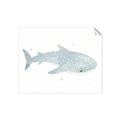 Picture of Blue Whale lll _GroupedProduct_Rectangle_Landscape_Mini_ _GroupedProduct_Rectangle_Landscape_Unframed_Print_Only_