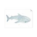 Picture of Blue Whale lll _GroupedProduct_Rectangle_Landscape_Mini_ _GroupedProduct_Rectangle_Landscape_Unframed_Print_Only_