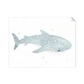 Picture of Blue Whale lll _GroupedProduct_Rectangle_Landscape_Mini_ _GroupedProduct_Rectangle_Landscape_Unframed_Print_Only_