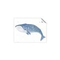 Picture of Blue Whale ll _GroupedProduct_Rectangle_Landscape_Mini_ _GroupedProduct_Rectangle_Landscape_Unframed_Print_Only_