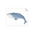 Picture of Blue Whale ll _GroupedProduct_Rectangle_Landscape_Mini_ _GroupedProduct_Rectangle_Landscape_Unframed_Print_Only_