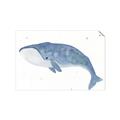 Picture of Blue Whale ll _GroupedProduct_Rectangle_Landscape_Mini_ _GroupedProduct_Rectangle_Landscape_Unframed_Print_Only_
