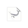 Picture of Narwhal _GroupedProduct_Square_Mini_ _GroupedProduct_Square_Unframed_Print_Only_