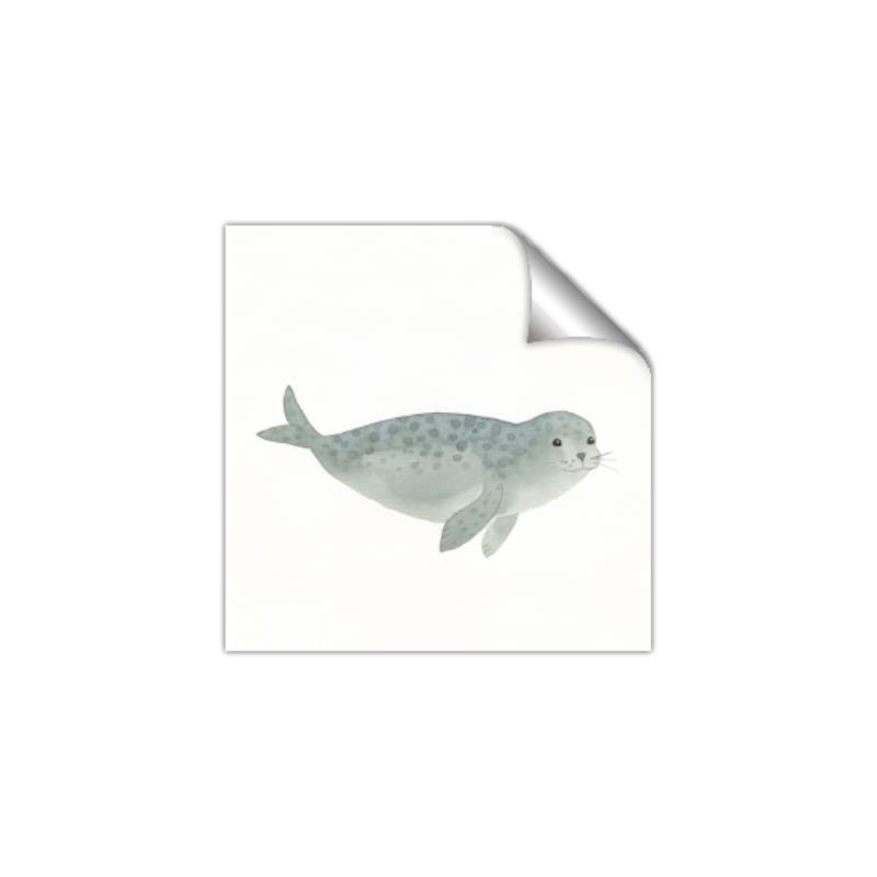 Picture of Spotted Seal _GroupedProduct_Square_Mini_ _GroupedProduct_Square_Unframed_Print_Only_