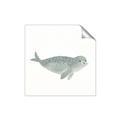 Picture of Spotted Seal _GroupedProduct_Square_Mini_ _GroupedProduct_Square_Unframed_Print_Only_