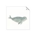 Picture of Spotted Seal _GroupedProduct_Square_Mini_ _GroupedProduct_Square_Unframed_Print_Only_