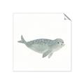 Picture of Spotted Seal _GroupedProduct_Square_Mini_ _GroupedProduct_Square_Unframed_Print_Only_