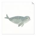 Picture of Spotted Seal _GroupedProduct_Square_Mini_ _GroupedProduct_Square_Unframed_Print_Only_