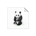 Picture of Jungle Panda _GroupedProduct_Square_Mini_ _GroupedProduct_Square_Unframed_Print_Only_