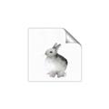Picture of Bunny II-M _GroupedProduct_Square_Mini_ _GroupedProduct_Square_Unframed_Print_Only_