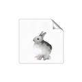 Picture of Bunny II-M _GroupedProduct_Square_Mini_ _GroupedProduct_Square_Unframed_Print_Only_